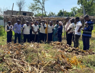 Turning Awareness into Action: Building a Sustainable Future with EarthAfrica & Congo Peace Academy