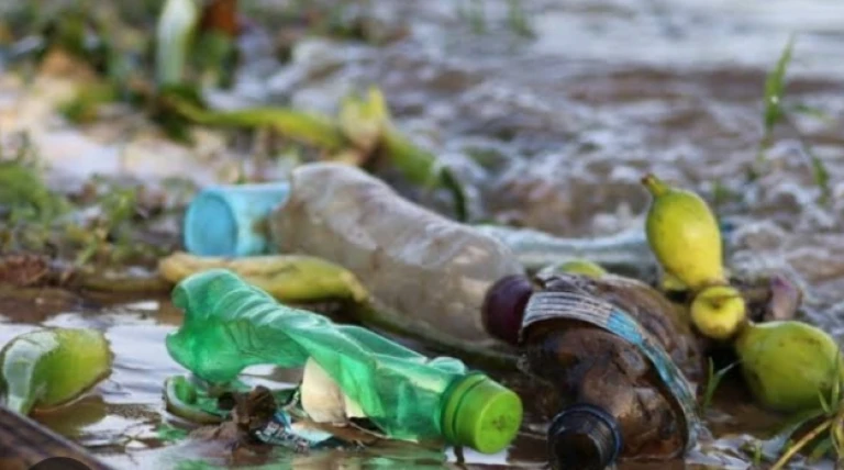 Where the Wetlands Weep: The Cry of the Swamp – A Poem for Uganda’s Wetlands